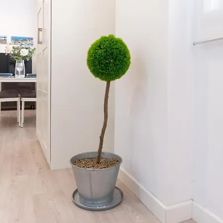 Mlg - Apartamento Trinidad Con Parking Lägenhet *
